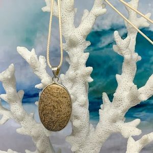 Picture Jasper Necklace 925 Silver Plated Setting on Waxed Cotton Cord Handmade